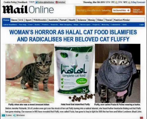 muslim cat
